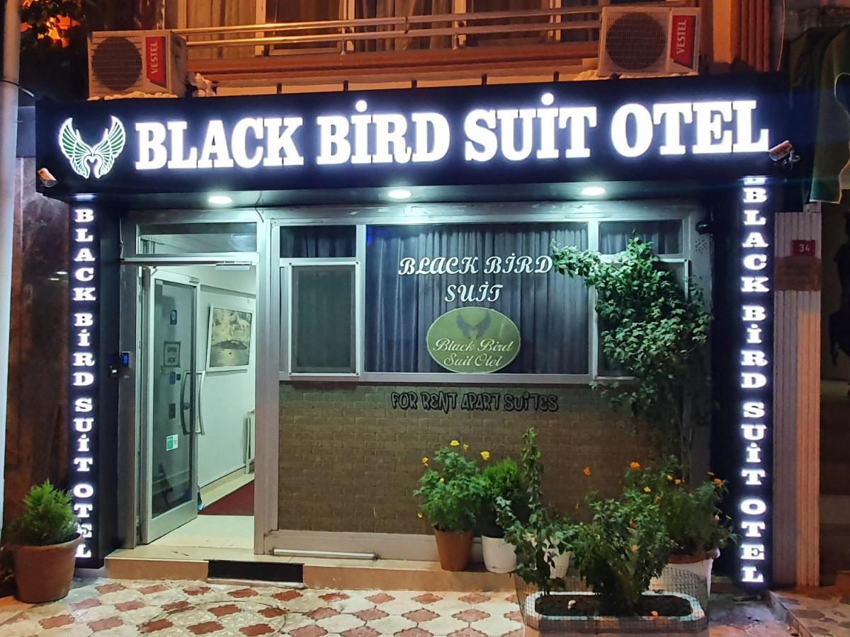 Black Bird Suite Hotel — Photos 3